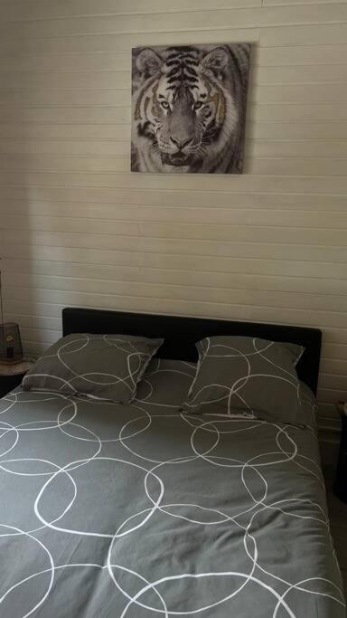 Magnifique Appartement T2 Le Barcarès Esterno foto